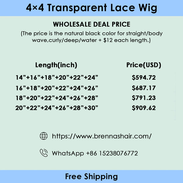 Brennas Hair 6PCS 4x4 Transparent Lace Wigs 180% Density Wholesale Package Deal Free Shipping