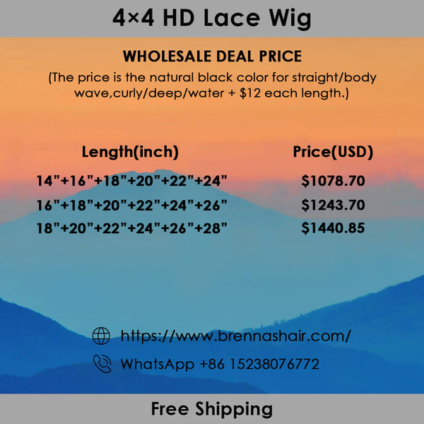 Brennas Hair 6PCS 4x4 HD Lace Wigs 180% Density Wholesale Package Deal Free Shipping